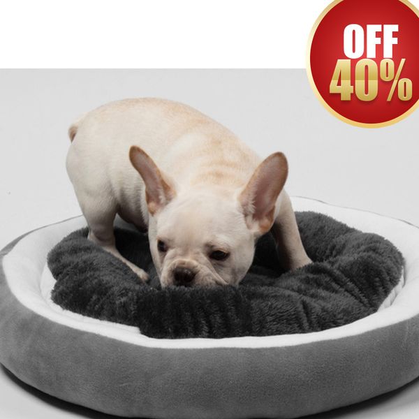новая мода одежда для собак round dog bed pet питомник cushions winter warm cat домашние животные диван harness подушка s-l дизайнер pet акс 
новая мода одежда для собак round dog bed pet питомник cushions winter warm cat домашние животные диван harness подушка s-l дизайнер pet акс