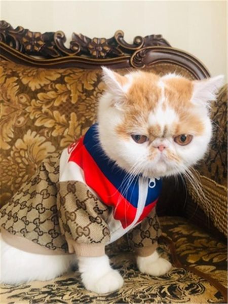 fashion cute cat hoodie full letter pet trend apparel scottish fold shorthair cat clothes explosion dog sweater clothes
fashion cute cat hoodie full letter pet trend apparel scottish fold shorthair cat clothes explosion dog sweater clothes