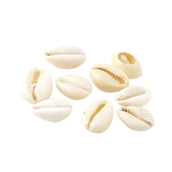 20pcs 10-17mm natural shell conch jewelry craft accessories without holes diy handmade candle material gold silver plated color
20pcs 10-17mm natural shell conch jewelry craft accessories without holes diy handmade candle material gold silver plated color