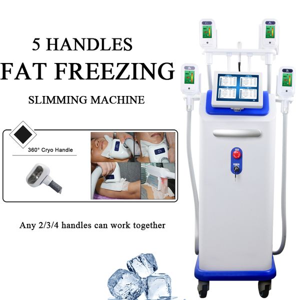 fat e body slimming cellulite machine laser fat removal fastest slimming body contouring cryotherapy professional machine
fat e body slimming cellulite machine laser fat removal fastest slimming body contouring cryotherapy professional machine