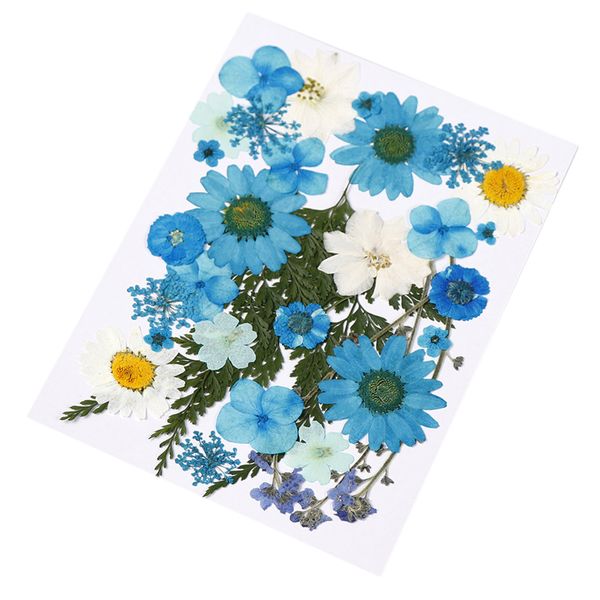 real pressed dried flowers leaves for resin jewelry pendant bracelet phone case arts & crafts diy handmade floral decor accessories
real pressed dried flowers leaves for resin jewelry pendant bracelet phone case arts & crafts diy handmade floral decor accessories