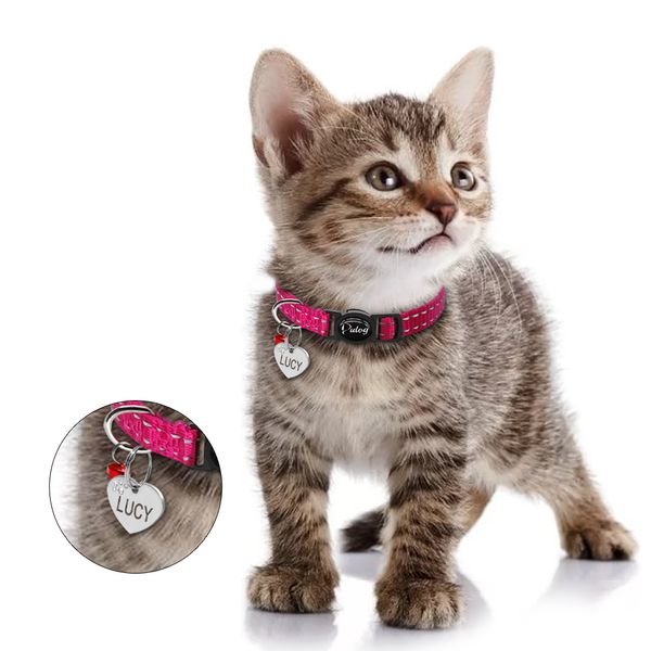 quick release воротник kitten cat светоотражающие персонализированный щенка id ошейники с гравировкой bell free tag паспортная для мелких жи
quick release воротник kitten cat светоотражающие персонализированный щенка id ошейники с гравировкой bell free tag паспортная для мелких жи