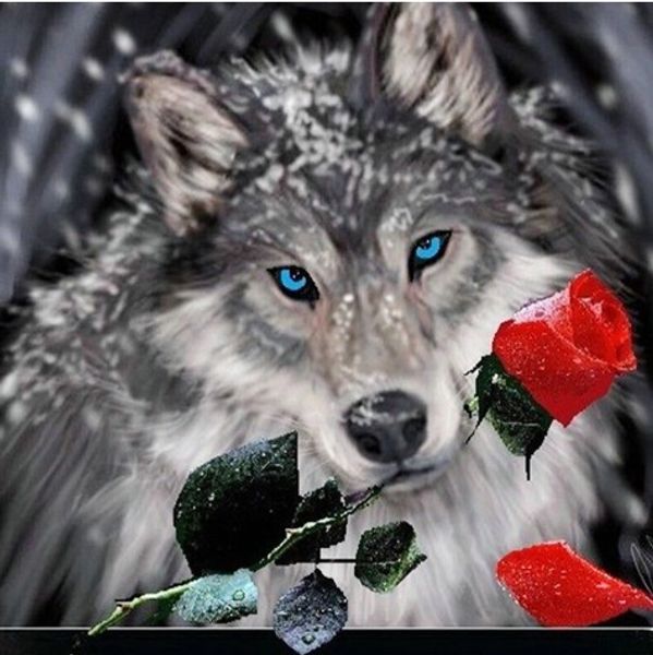 full square/round drill 5d diy diamond painting kits "wolf" cross stitch mosaic home decor crafts art experience toys gift a0756
full square/round drill 5d diy diamond painting kits "wolf" cross stitch mosaic home decor crafts art experience toys gift a0756