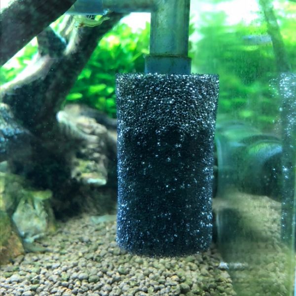 5 pcs aquarium sponge filter protector cover for fish tank inlet pond black foam fish aquatic pet filters
5 pcs aquarium sponge filter protector cover for fish tank inlet pond black foam fish aquatic pet filters