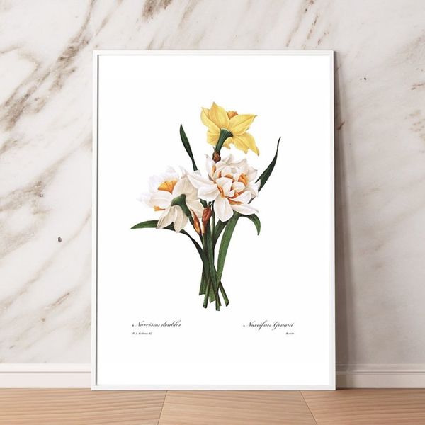 daffodil botanical canvas poster spring wall decorative picture kitchen cottage bedroom painting prints french living room decor
daffodil botanical canvas poster spring wall decorative picture kitchen cottage bedroom painting prints french living room decor