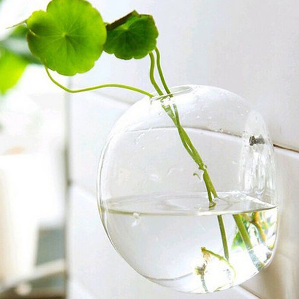 5 style hydroponic glass vase plant flower pot fish tank terrarium wall hanging pots
5 style hydroponic glass vase plant flower pot fish tank terrarium wall hanging pots