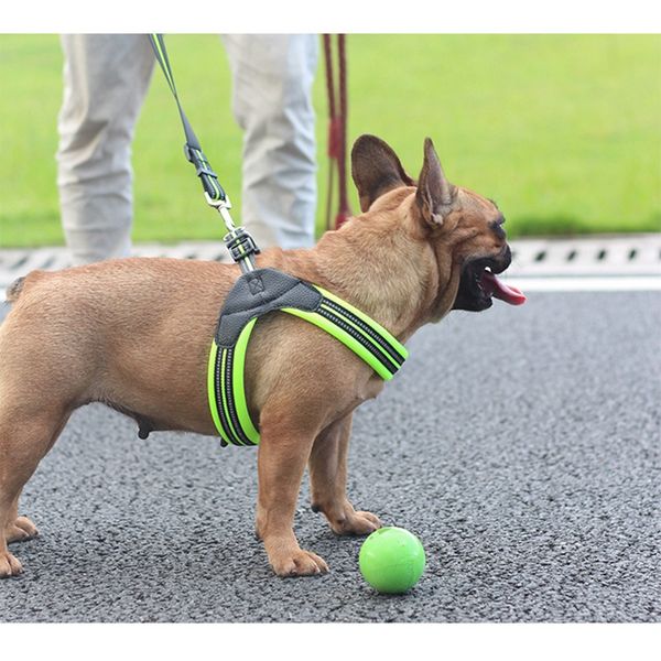 nylon mesh breathable harness pet safe vest for dogs reflective pet dog harnesses vest night walking training for small dogs
nylon mesh breathable harness pet safe vest for dogs reflective pet dog harnesses vest night walking training for small dogs