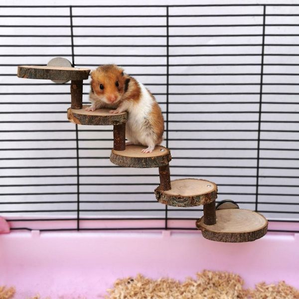 hamster игрушка деревянный мост hamster supplies экологичный деревянный мост лестница mini pet climbing лестничное hamster игрушка деревянны
hamster игрушка деревянный мост hamster supplies экологичный деревянный мост лестница mini pet climbing лестничное hamster игрушка деревянны