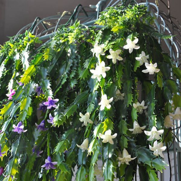 decorative flowers & wreaths simulation artificial plant rattan vivid hanging decoration for festival home wedding rt99
decorative flowers & wreaths simulation artificial plant rattan vivid hanging decoration for festival home wedding rt99