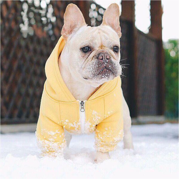 french bulldog hoodies pet dog clothes for small dogs pets clothing chihuahua coat pug costume outfit puppy yorkshire jacketgq
french bulldog hoodies pet dog clothes for small dogs pets clothing chihuahua coat pug costume outfit puppy yorkshire jacketgq