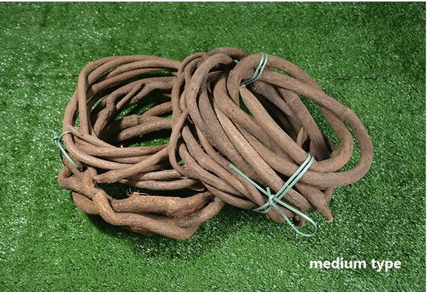 true rattan true vine dry vine sopraporta suspended ceiling decoration cirrus not is artificial rattan
true rattan true vine dry vine sopraporta suspended ceiling decoration cirrus not is artificial rattan