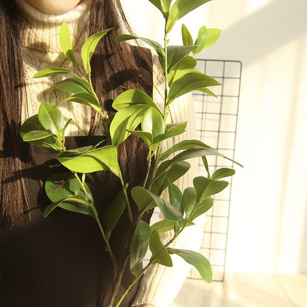 linman 89cm long beans leaves milan leaves simulated flowers factory home decoration wedding wall fake flowers
linman 89cm long beans leaves milan leaves simulated flowers factory home decoration wedding wall fake flowers