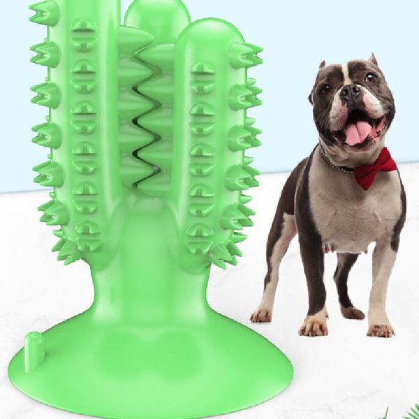 новых pet products cactus собака зубной молярная собаки зубная щетка стики еда утечка укус противодействующих игрушки собака марка новых пос
новых pet products cactus собака зубной молярная собаки зубная щетка стики еда утечка укус противодействующих игрушки собака марка новых пос