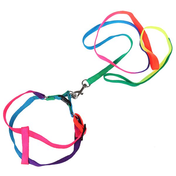 44" long rainbow nylon small medium size dog pet harness leash
44" long rainbow nylon small medium size dog pet harness leash