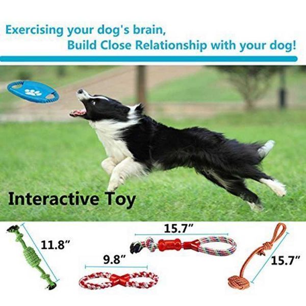 indestructible dog toys for aggressive chewers 100% safe small medium dogs 10 pack include rope ball dog birthday gifts dog training
indestructible dog toys for aggressive chewers 100% safe small medium dogs 10 pack include rope ball dog birthday gifts dog training
