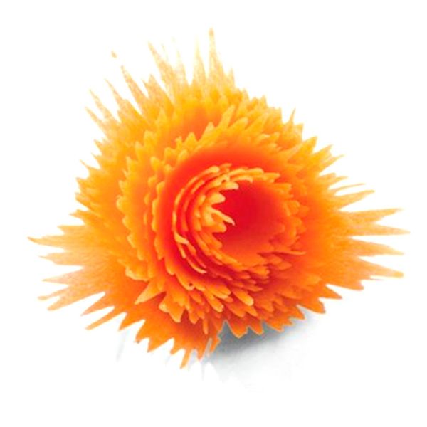 abs kitchen carving professional universal handhold potato carrot home roll flower accessory vegetable cutter
abs kitchen carving professional universal handhold potato carrot home roll flower accessory vegetable cutter