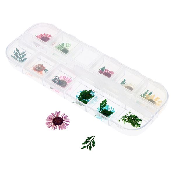 natural real dried flower/leaves nail art tips sticker decals diy design decoration, 12colors
natural real dried flower/leaves nail art tips sticker decals diy design decoration, 12colors