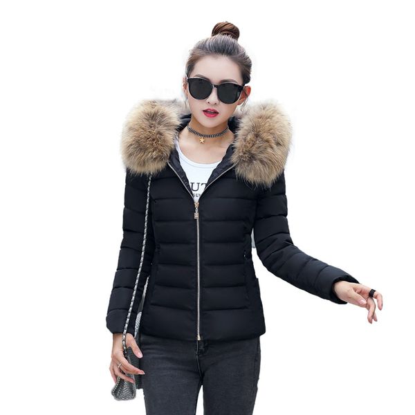 new winter jacket women parka coat ultra light coat fur collar zippers long fashion female warm female down jacket 111#5, Black
new winter jacket women parka coat ultra light coat fur collar zippers long fashion female warm female down jacket 111#5, Black