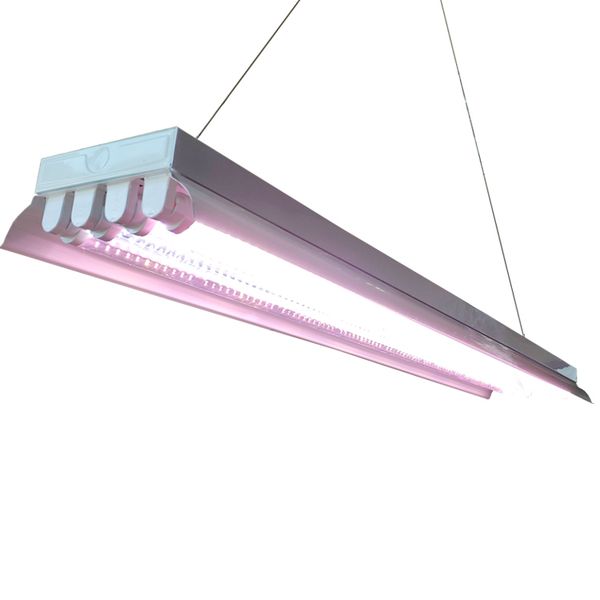 4ft t8 ho fluorescent grow light fixture for indoor plants, high output full spectrum 380-800nm pink white double row t8 fluorescent tubes
4ft t8 ho fluorescent grow light fixture for indoor plants, high output full spectrum 380-800nm pink white double row t8 fluorescent tubes