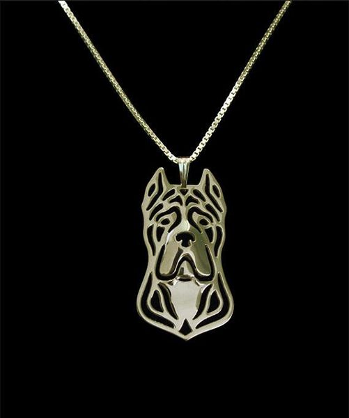 danggao unique fashion handmade cane corso necklace women chain choker necklace dog charm jewelry pet lovers gift idea, Silver
danggao unique fashion handmade cane corso necklace women chain choker necklace dog charm jewelry pet lovers gift idea, Silver