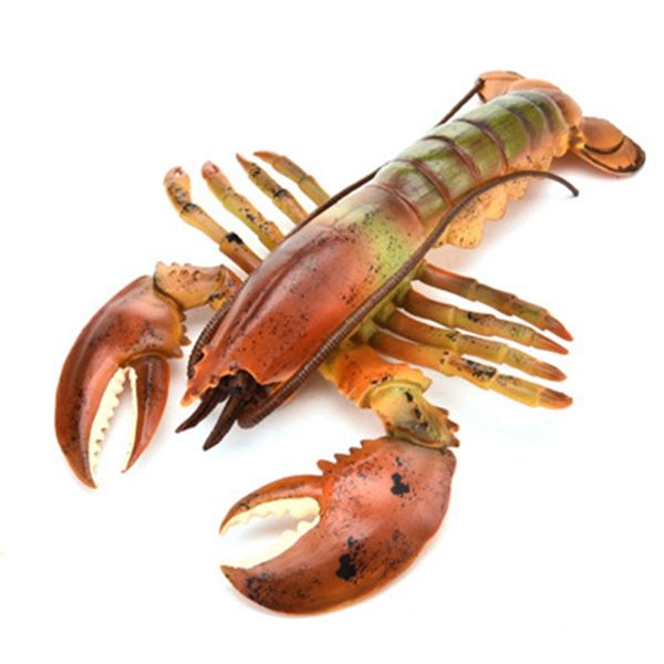 realistic solid underwater world animals models lifelike large size lobster children cognitive toys marine organism models
realistic solid underwater world animals models lifelike large size lobster children cognitive toys marine organism models
