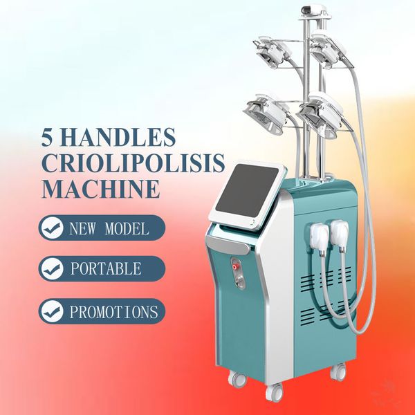 2020 good review cryolipolysis machine cryo machine body contouring weight loss equipment vacuum slim machine ce
2020 good review cryolipolysis machine cryo machine body contouring weight loss equipment vacuum slim machine ce