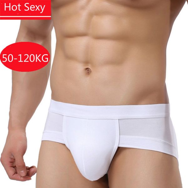 men underwear men briefs mesh underpants gentle man mens briefs cuecas brief bikini under wear man srting mans, Black;white
men underwear men briefs mesh underpants gentle man mens briefs cuecas brief bikini under wear man srting mans, Black;white