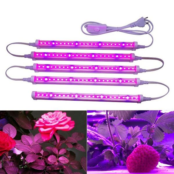 grow light plant light 12w phyto lamp grow led growing light for plants t5 fitolampy for flower seedling indoor plants
grow light plant light 12w phyto lamp grow led growing light for plants t5 fitolampy for flower seedling indoor plants