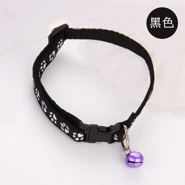 nylon slip leads for dogs lyon blue dog chain collar spring summer collares para perros nylon led pet dog collar pet supplies bdegarden jyel
nylon slip leads for dogs lyon blue dog chain collar spring summer collares para perros nylon led pet dog collar pet supplies bdegarden jyel