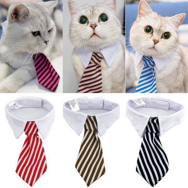 pet striped tie collar pet dog cat adjustable striped bow tie collar puppy kitty grooming bowtie collar for party wedding
pet striped tie collar pet dog cat adjustable striped bow tie collar puppy kitty grooming bowtie collar for party wedding