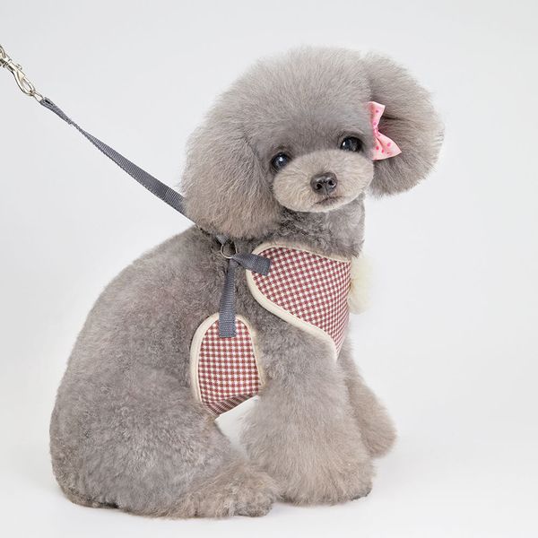 дышащий малый собак harness и поводок установить pet cat vest harness жгуты собаки дизайнер собаку аксессуары
дышащий малый собак harness и поводок установить pet cat vest harness жгуты собаки дизайнер собаку аксессуары