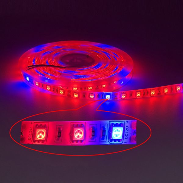 plant grow light led plant strip lights indoor growing lamp waterproof flexible soft rope light with 12v for greenhouse hydroponics flower
plant grow light led plant strip lights indoor growing lamp waterproof flexible soft rope light with 12v for greenhouse hydroponics flower