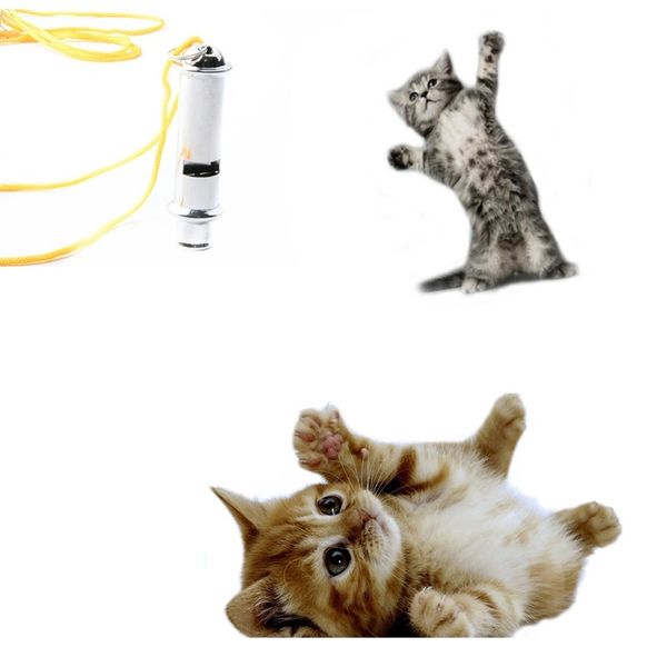 dog whistle high-frequency non-nuclear dual-tone sound metal pet whistle super sound animal whistle send lanyard dog training obedience
dog whistle high-frequency non-nuclear dual-tone sound metal pet whistle super sound animal whistle send lanyard dog training obedience