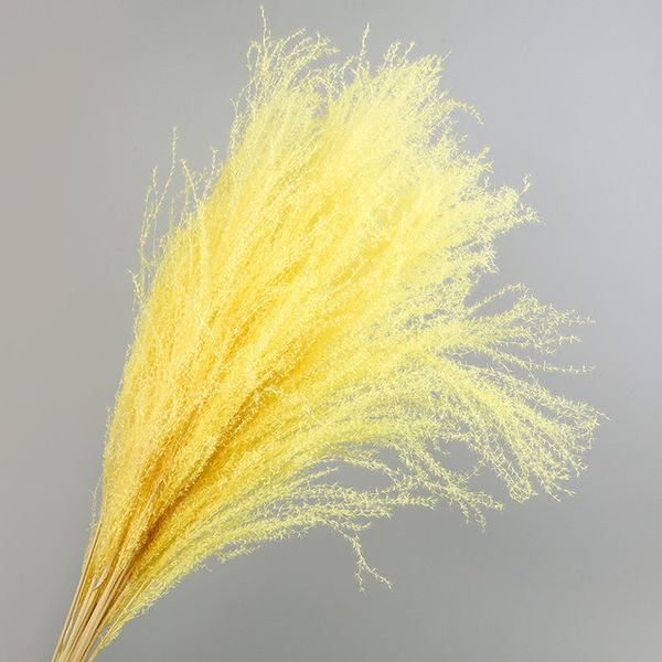 50pcs dried flowers natural pampas grass wedding modern home decoration bouquet simulation flower
50pcs dried flowers natural pampas grass wedding modern home decoration bouquet simulation flower