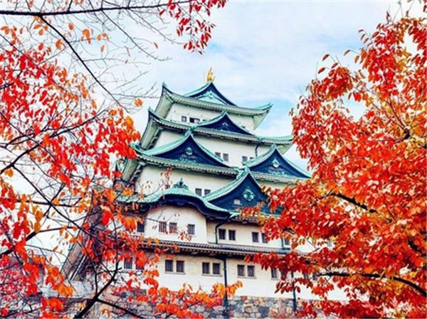 mosaic home decor gift scenery sakura tower 5d diy diamond painting cross stitch kit rhinestone full round&square diamond embroidery bb1422
mosaic home decor gift scenery sakura tower 5d diy diamond painting cross stitch kit rhinestone full round&square diamond embroidery bb1422