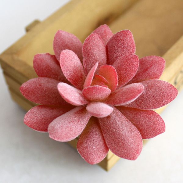 1pc pvc succulents plants tropical fake grass bonsai plantas artificial landscape deskdecor fake flowers wedding decoration
1pc pvc succulents plants tropical fake grass bonsai plantas artificial landscape deskdecor fake flowers wedding decoration