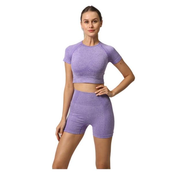 seamless gym sets workout clothes women short sleeve fitness shorts sports wear gym clothing 2pcs/set yoga sport suit, White;red
seamless gym sets workout clothes women short sleeve fitness shorts sports wear gym clothing 2pcs/set yoga sport suit, White;red