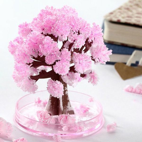 novel magic growing tree paper sakura crystal trees deskcherry blossom toys shipping
novel magic growing tree paper sakura crystal trees deskcherry blossom toys shipping