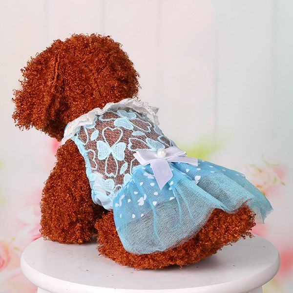 pet dog summer основывая lace лук ситцевом платье одежда pet cat платье мультфильм собак pet hoodie coat winter dog falda de mascota419
pet dog summer основывая lace лук ситцевом платье одежда pet cat платье мультфильм собак pet hoodie coat winter dog falda de mascota419