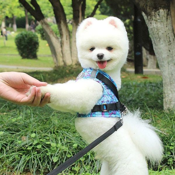 dog cat harness and leash set pet adjustable reflective vest walking lead leash puppy harness for small medium dog
dog cat harness and leash set pet adjustable reflective vest walking lead leash puppy harness for small medium dog
