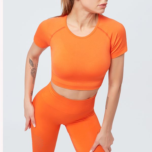 gym set workout clothes for women flawless knit short sleeve compression crop yoga 2 piece set
gym set workout clothes for women flawless knit short sleeve compression crop yoga 2 piece set