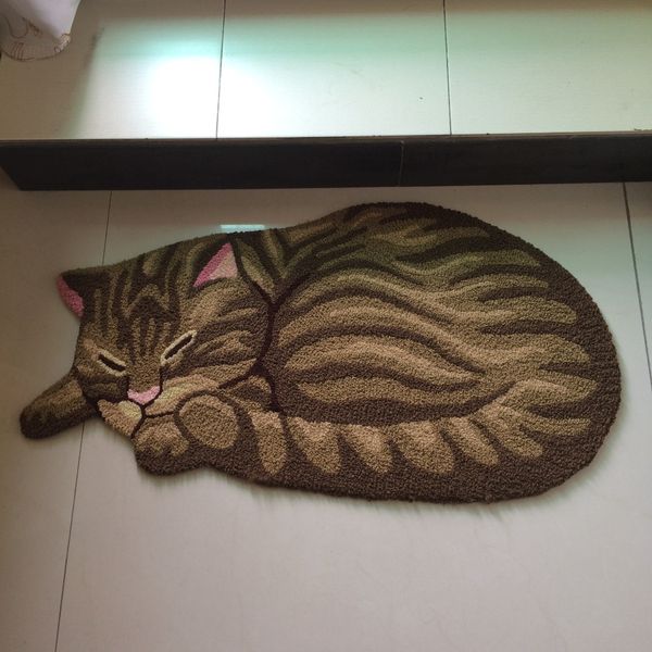 creative carpet doormat for entrence door 3d pet cat carpet anti slip cat door mat outdoor floor mat kid room bedside
creative carpet doormat for entrence door 3d pet cat carpet anti slip cat door mat outdoor floor mat kid room bedside