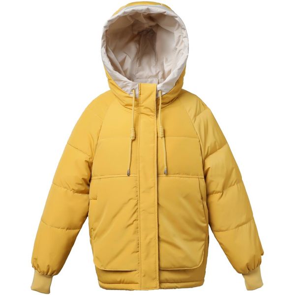 2019 new thick warm hooded short jacket women winter short parkas jacket casual solid sweet jackets for female, Black
2019 new thick warm hooded short jacket women winter short parkas jacket casual solid sweet jackets for female, Black