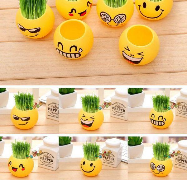 mini plant pot succulent planter deskflowerpot home garden decor empty emoji expression plant flower planters fa3252
mini plant pot succulent planter deskflowerpot home garden decor empty emoji expression plant flower planters fa3252