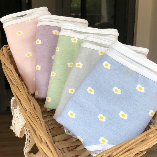 japan and south korea 2020 summer new printed japanese girl underwear women pure cotton cute sweet beauty cotton shorts, Black;pink
japan and south korea 2020 summer new printed japanese girl underwear women pure cotton cute sweet beauty cotton shorts, Black;pink