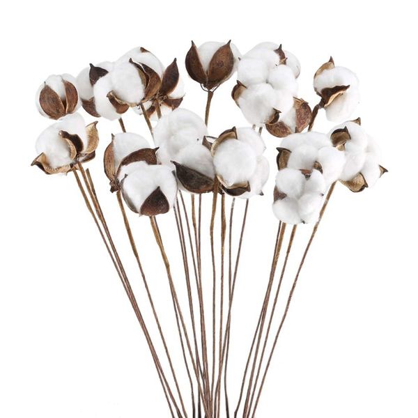 20pcs 24 inches natural dried cotton stem, farmhouse artificial flower filler floral arrangement home party decor
20pcs 24 inches natural dried cotton stem, farmhouse artificial flower filler floral arrangement home party decor