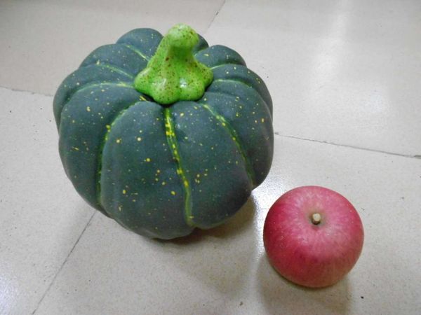 pumpkin fruit and vegetable toy model simulation early educational kid pretend play house kitchen hallowmas foam
pumpkin fruit and vegetable toy model simulation early educational kid pretend play house kitchen hallowmas foam