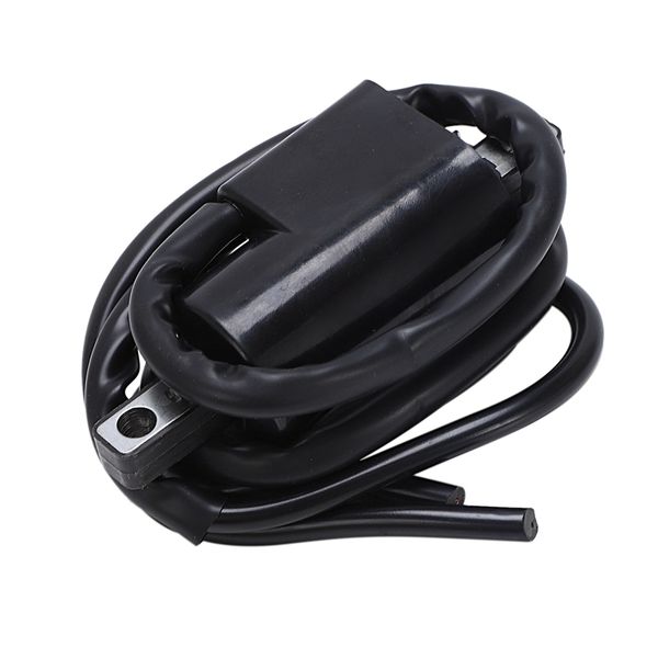 ignition coil 278000383 2780001130 for gsx gtx spx xp 787 800 sea doo 
ignition coil 278000383 2780001130 for gsx gtx spx xp 787 800 sea doo