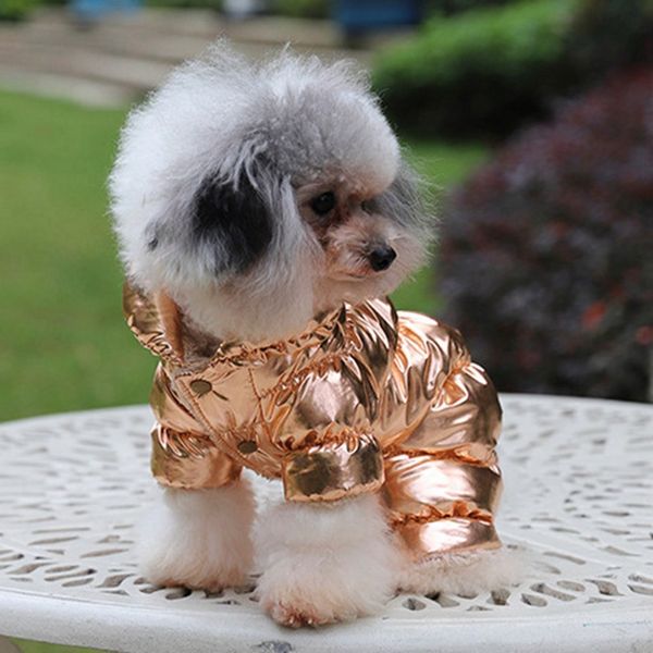 winter french bulldog dog clothes dog down jacket for small dog cotton padded warm outfit pet coat jacket for chihuahua pet
winter french bulldog dog clothes dog down jacket for small dog cotton padded warm outfit pet coat jacket for chihuahua pet