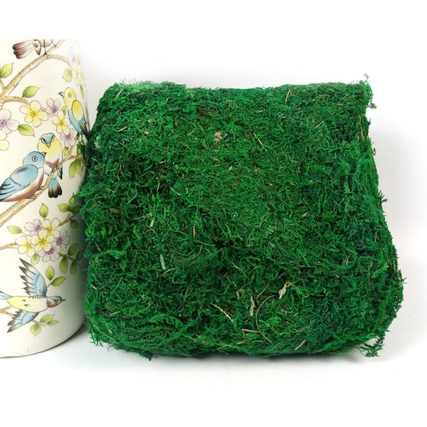 new keep dry real green moss decorative plants vase artificial turf silk flower accessories for flowerpot decoration
new keep dry real green moss decorative plants vase artificial turf silk flower accessories for flowerpot decoration